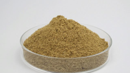 শুটকি গুর